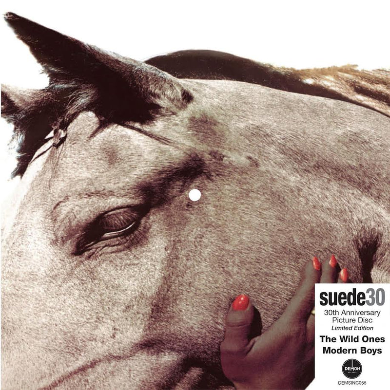 Suede - The Wild Ones (30th Anniversary Edition)