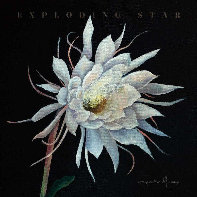 HEATHER MALONEY - Exploding Star *Pre-Order