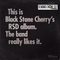 Black Stone Cherry - This is Black Stone Cherry's RSD album. The band really likes it. - Limited RSD 2025