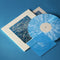 Field Music - Limits of Language: Transparent Blue & White Splatter Vinyl LP + Bonus Flexi + Signed Print DINKED EDITION EXCLUSIVE 307