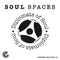 Diplomats of Soul - Soul Spaces - Limited RSD 2025