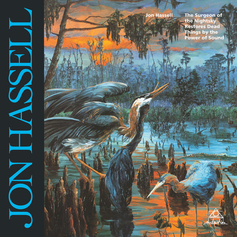 Jon Hassell - The Surgeon Of The Nightsky