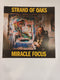 Strand of Oaks - Miracle Focus