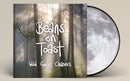 Beans On Toast - Wild Goose Chasers *Pre-Order