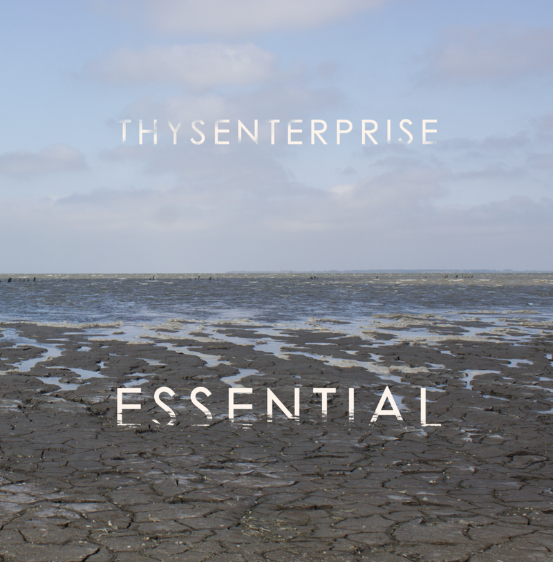 Thysenterprise - ESSENTIAL